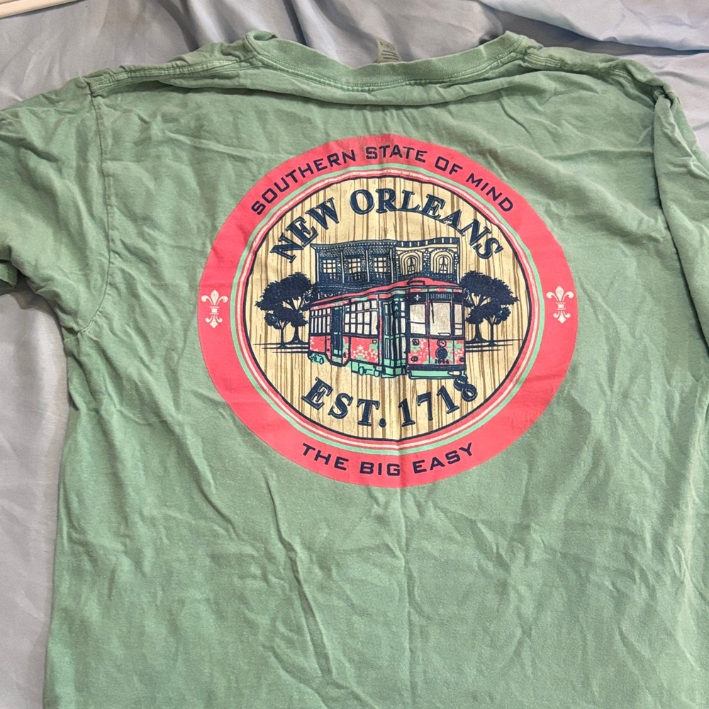 Gildan Mint Green Ultra Cotton T-Shirt New Orleans